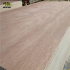 High Quality Pencil Cedar Commercial Plywood at Wholesale Price