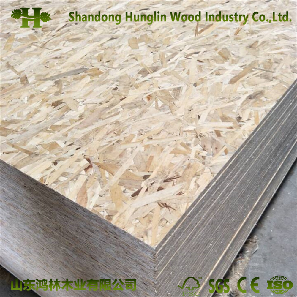 4FT*8FT Cheap Price OSB Board From Shandong