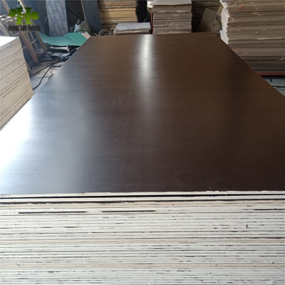 Hot Sale Plywood/Film Faced Plywood