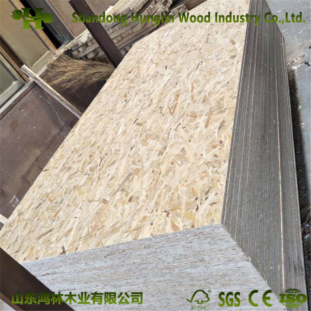 12mm Furniture Decoration Door OSB From Shandong