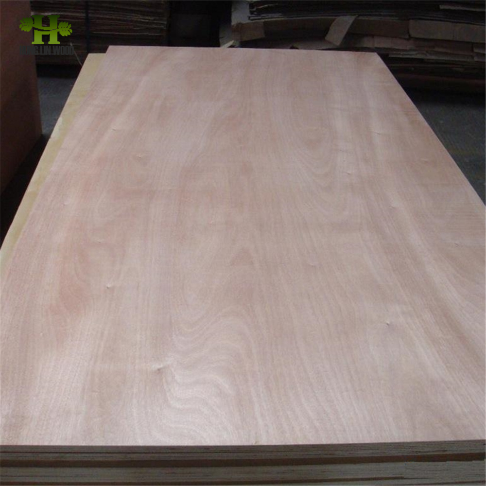 Bintangor/Okoume/Pencil Cendar/Pine/Poplar/Birch Wood Veneer Commercial Plywood