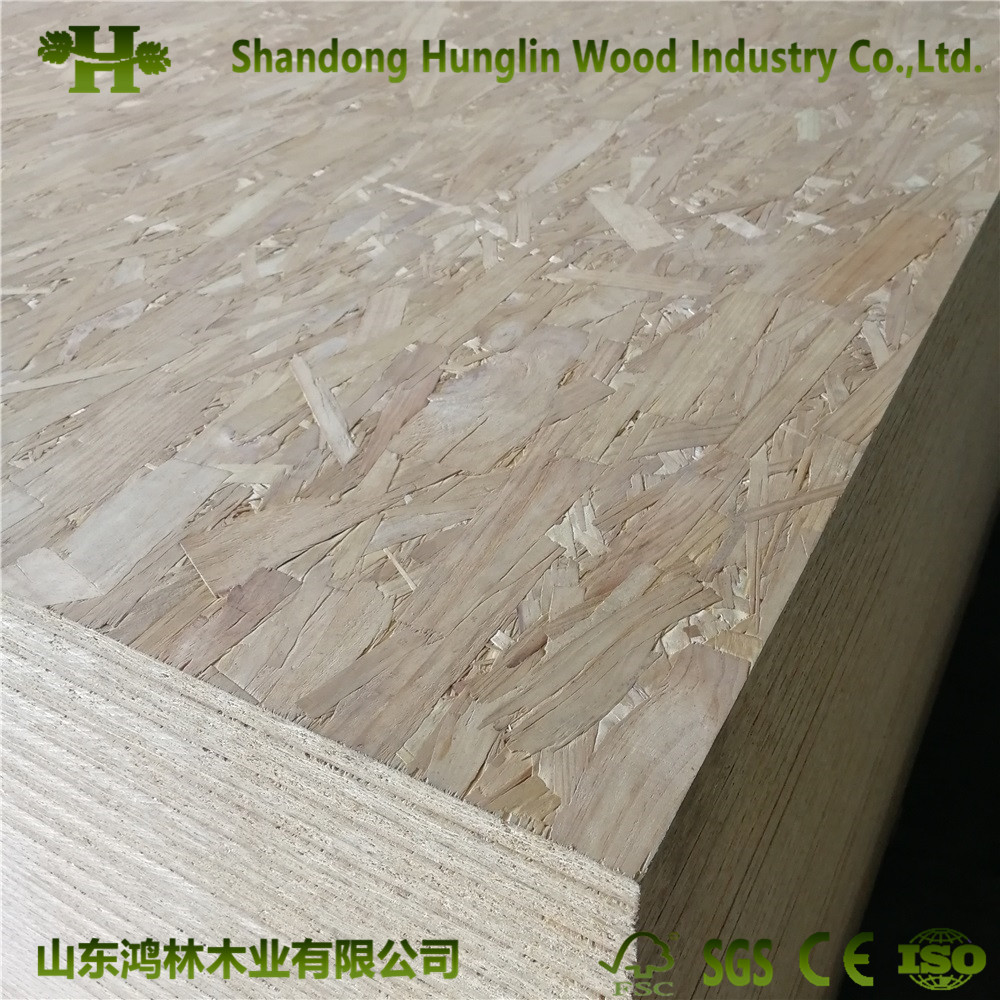 Wholesale Cheap Price 9mm/12mm OSB (OSB3 board) for Construction