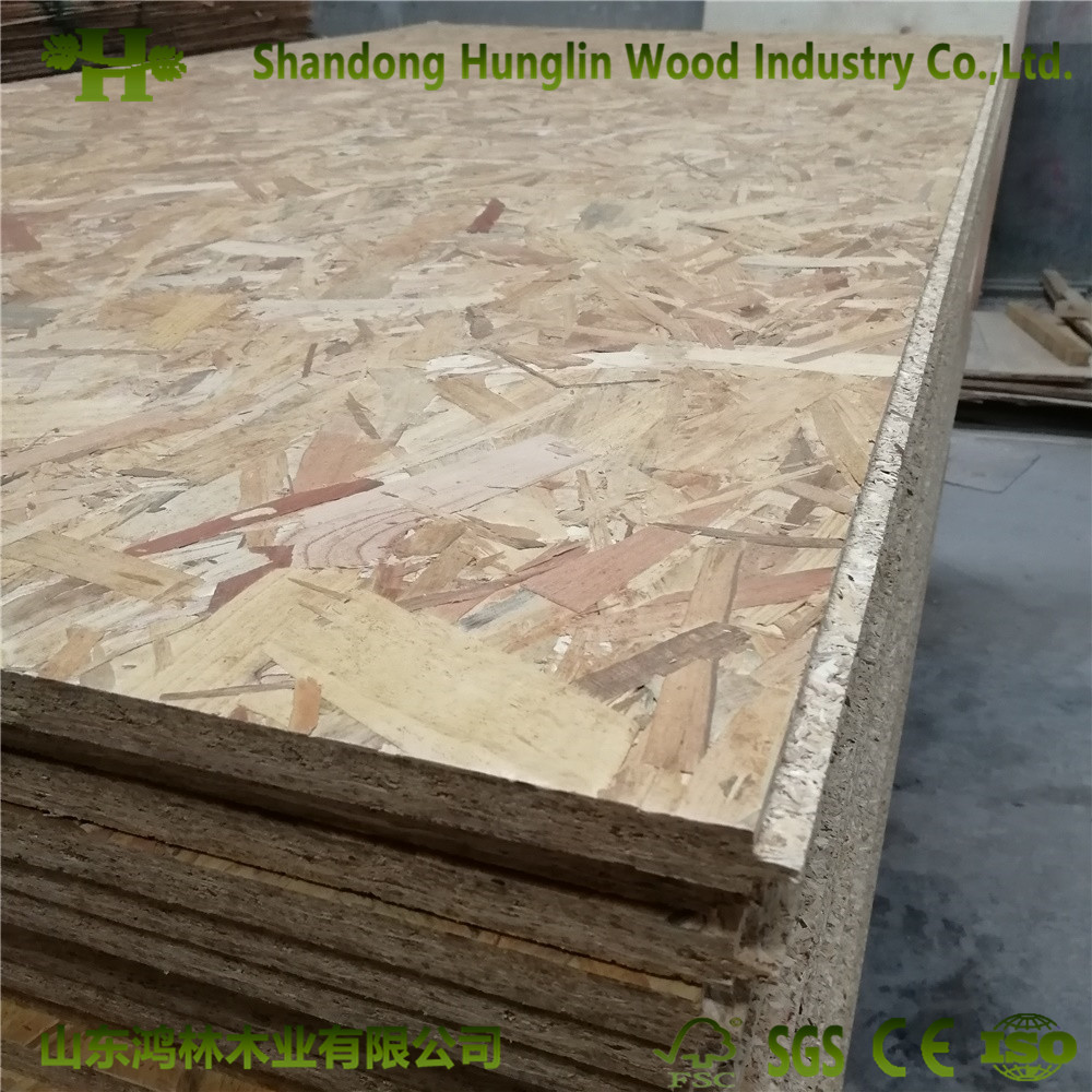 Low Price Superior Quality Lp OSB for Sale