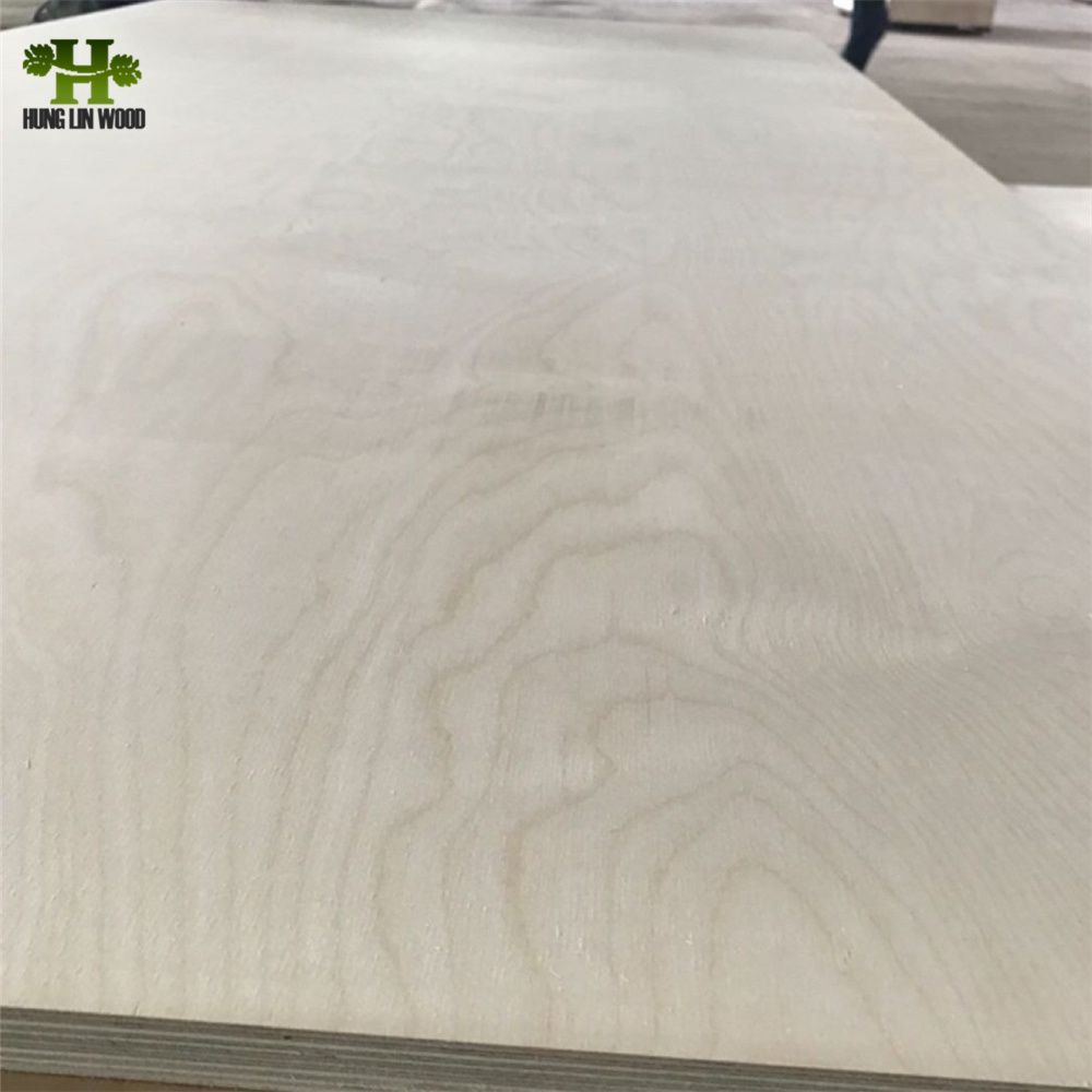 Poplar Core Birch Faced Plywood with E0 Glue for Furniture
