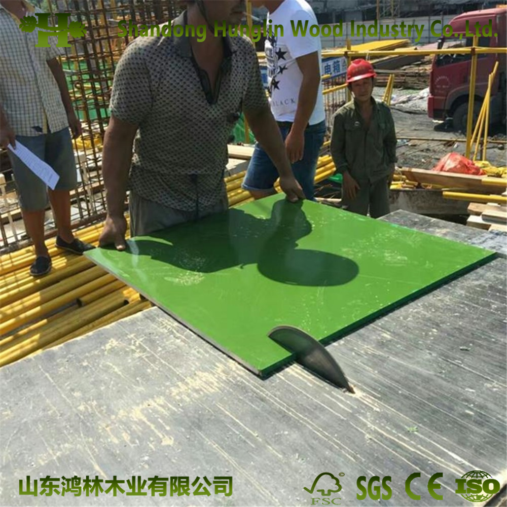 Waterproof PP Plastic Formwork/ Film Faced/ Marine Plywood for Concrete