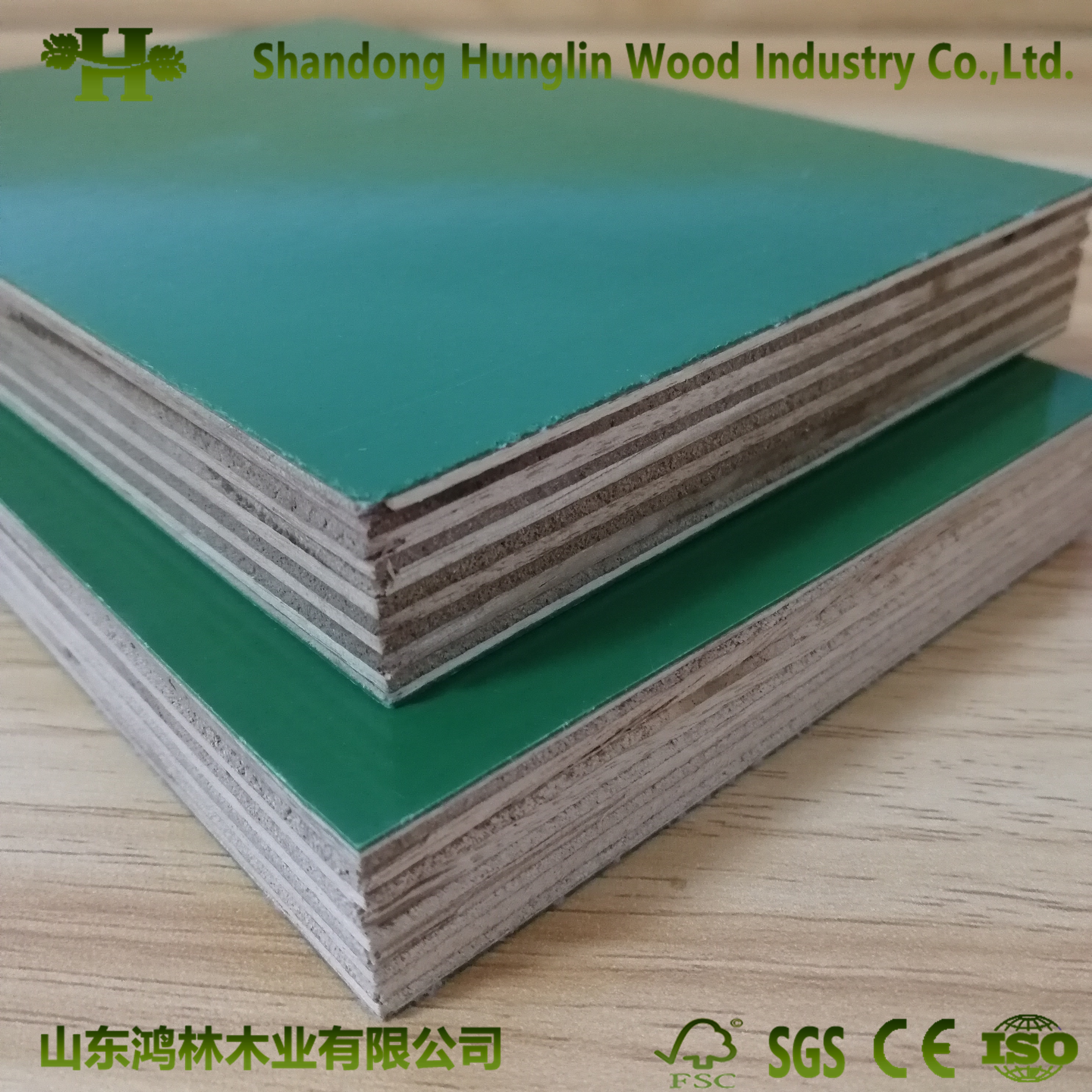Green PP Plastic Polypropylene Film Faced Plywood/Marine Plywood for Construction