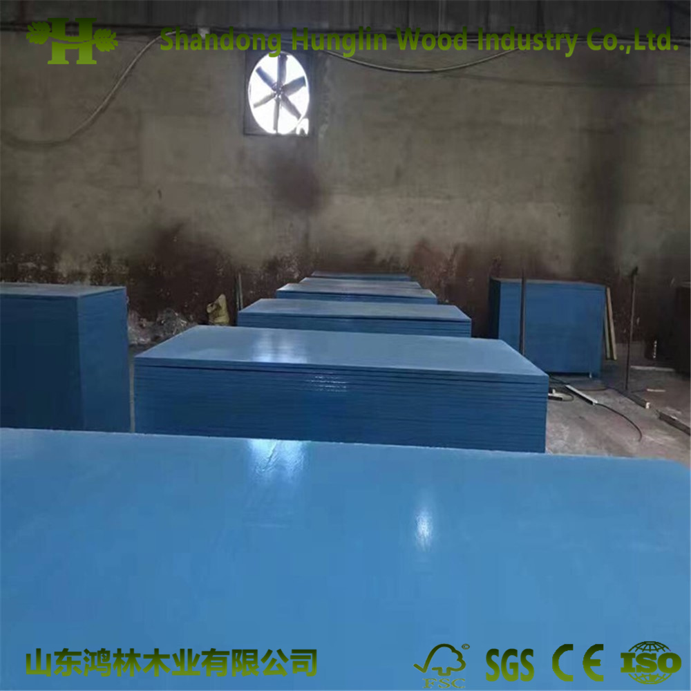 Green/Blue/Red PP Plastic Film Faced / Ply Wood / Marine Plywood Cheap
