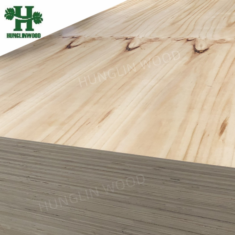  CDX Pine Plywood for Construction